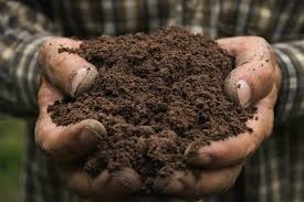 Soil - Complete Analysis